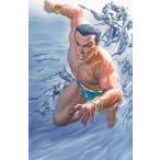 X-MEN UNITED #4< variant покрытие >