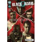 2025 зима распродажа объект товар BLACK ADAM #5<A покрытие >