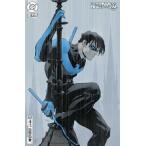2025 зима распродажа объект товар NIGHTWING #119<C покрытие >