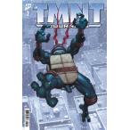 TMNT JOURNEYS #2<A покрытие >