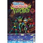 TALES OF THE TEENAGE MUTANT NINJA TURTLES #1<B покрытие >