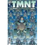 TMNT JOURNEYS #9<A покрытие >