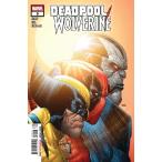 DEADPOOL WOLVERINE #9
