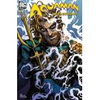 2025冬セール対象品　AQUAMAN 80TH ANNIVERSARY 100-PAGE SUPER SPECTACULAR #1 (ONE SHOT)＜Hカバー＞