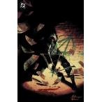 ABSOLUTE GREEN ARROW #1 (OF 6)<E покрытие >