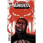 PUNISHER #6