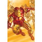 IRON MAN #7< variant покрытие /B>