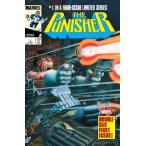 PUNISHER #1 FACSIMILE EDITION