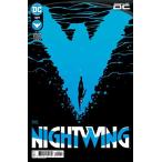 2025 зима распродажа объект товар NIGHTWING #109<A покрытие >