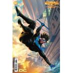2025 зима распродажа объект товар NIGHTWING #108<B покрытие >