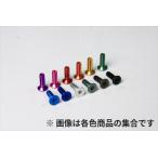 R31HOUSE(R31ハウス)/R31M066PUB/ジュラルミンヘックス皿ビス M3×10mm 5個入り パープル