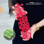 主張強め！【 漢字 ひらがな カタカナ 】 お名前 プレ