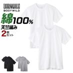 ショッピング綿100 グンゼ GUNZE ボディワイルド BODYWILD Tシャツ 2枚組 メンズ 丸首 クルーネック 綿100% 半袖 通年 インナーシャツ 肌着