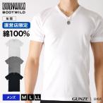 ショッピングインナー グンゼ GUNZE ボディワイルド BODY WILD Vネック Tシャツ メンズ インナーシャツ 半袖 綿100% 直営店限定 リブ BWB315U