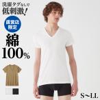 グンゼ theGUNZE 直営店限定 綿100% V首 Tシャツ メンズ インナーシャツ 半袖 消臭 乾燥機対応 肌着 下着 紳士 シンプル 無地