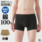 グンゼ ボクサーパンツ メンズ 前開き ボクサーブリーフ 綿100 紳士 年間 ボクサー 大きいサイズ GUNZE theGUNZE ザグンゼ STANDARD CK9080N