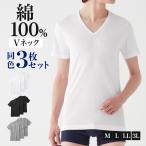 グンゼ ネット限定 VネックTシャツ 綿100% メンズ 抗菌防臭加工 3枚組 V首 大きいサイズ タグレス 定番 GM00153 M-3L