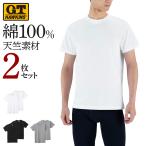 グンゼ GUNZE GTホーキンス 綿100% Ｔシャツ 2枚組 メンズ セット 半袖 丸首 天竺 紳士 カジュアル インナーシャツ G.T.HAWKINS