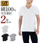 ショッピング紳士 グンゼ GUNZE GTホーキンス 綿100% Ｔシャツ 2枚組 メンズ セット 半袖 Vネック 天竺 カジュアル 紳士 インナーシャツ G.T.HAWKINS