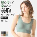 グンゼ キレイラボ ハーフトップ レディース 綿混 完全無縫製 シームレス ノンワイヤー 女性下着