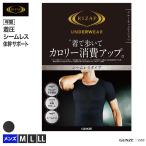 [11/15(火)まで全品P10倍] ライザップ クルーネック Tシャツ メンズ 年間 グンゼ GUNZE 着圧コントロール 引き締め 補正ライン シームレス メンズ