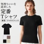 グンゼ GUNZE トゥシェ Tuche Tシャツ 半袖 レディース 綿混 コットン カットソー 無地 重ね着 タイト スリムフィット 定番 シンプル TC7250 M L