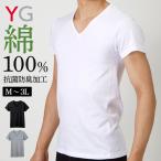 グンゼ インナーシャツ 肌着 メンズ 綿100％ 半袖 シャツ 年間 Vネック Ｔシャツ コットン 紳士 抗菌防臭 下着 YG YV0015V