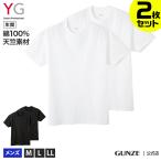 【セール】 グンゼ メンズ クルーネックＴシャツ 2枚セット 年間 YG 半袖 丸首 Tシャツ 2P 綿100 コットン ベーシック