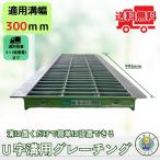 【ランキング受賞！】 グレーチング U字溝 HGU-300-32 溝幅300mm用 小型トラック荷重 規格 T-4 溝 蓋 側溝 普及型 並目 法山本店