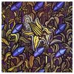 輸入盤 BAD RELIGION / AGAINST THE GRAIN （REMASTER） [CD]