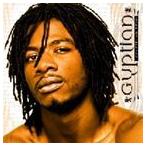 輸入盤 GYPTIAN / I CAN FEEL YOUR PAIN [CD]