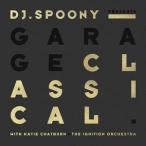 輸入盤 DJ SPOONY / GARAGE CLASSICAL [CD]