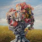 Yahoo! Yahoo!ショッピング(ヤフー ショッピング)輸入盤 WILDERUN / VEIL OF IMAGINATION [CD]