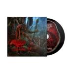 輸入盤 JUNGLE ROT / CALL TO ARMS [CD]