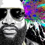 輸入盤 RICK ROSS / MASTERMIND [2LP]