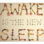 輸入盤 BEN LEE / AWAKE IS THE NEW SLEEP [CD]