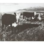 輸入盤 MARK KOZELEK / FINALLY LP （DIG） [CD]