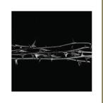 輸入盤 AMENRA / DE DOORN [CD]