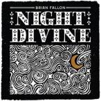 輸入盤 BRIAN FALLON / NIGHT DIVINE [LP]