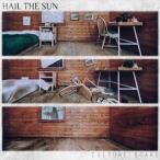 輸入盤 HAIL THE SUN / CULTURE SCARS （DIG） [CD]