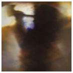 輸入盤 ANIMAL COLLECTIVE / FALL BE KIND [CD]