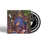 Yahoo! Yahoo!ショッピング(ヤフー ショッピング)輸入盤 DAWES / GOOD LUCK WITH WHATEVER ARE [CD]