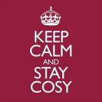 輸入盤 VARIOUS / KEEP CALM ＆ STAY COSY [2CD]