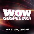 輸入盤 VARIOUS / WOW GOSPEL 2017 [DVD]