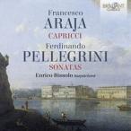 輸入盤 ENRICO BISSOLO / ARAJA ： CAPRICCI [CD]