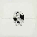 輸入盤 TWO GALLANTS / WE ARE UNDONE [LP]