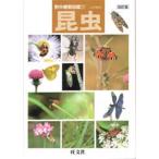 昆虫