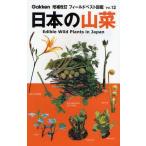 日本の山菜