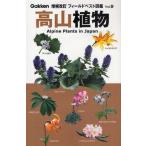 高山植物