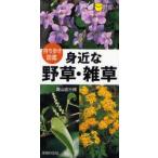 身近な野草・雑草